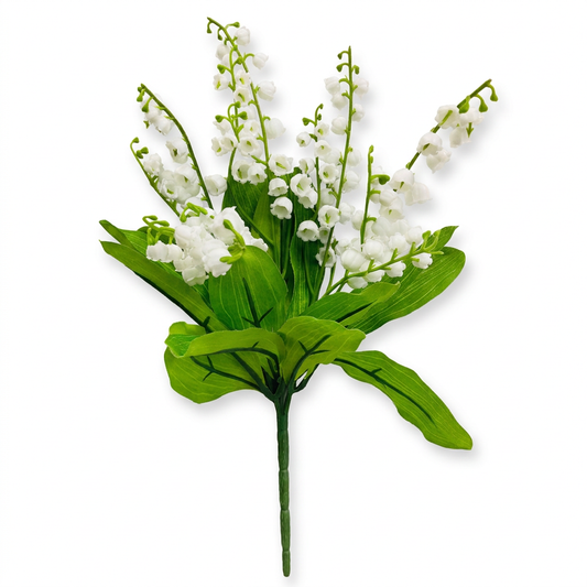 Lily of The Valley