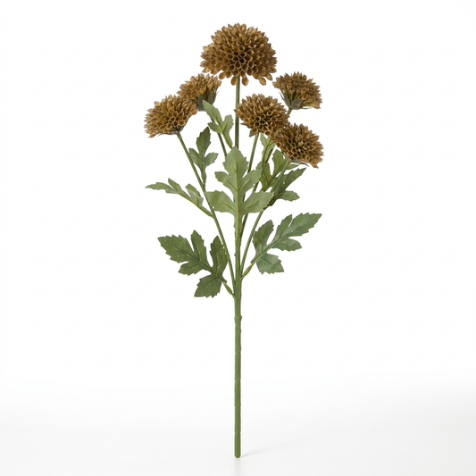 Brown-Green Scabious Spray