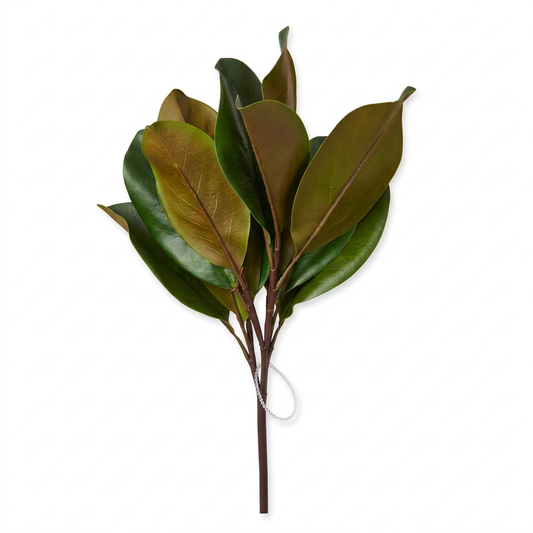 UV Protected Magnolia Leaf Stem