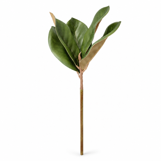 Magnolia Leaf Pick