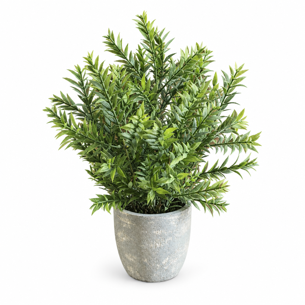 8” Potted Mini-Bamboo