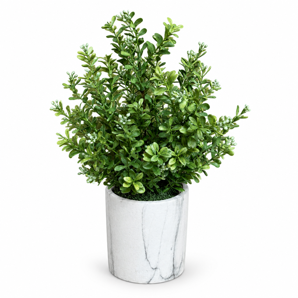 Modern Potted Boxwood Bush