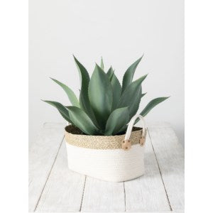 Layne Storage Basket