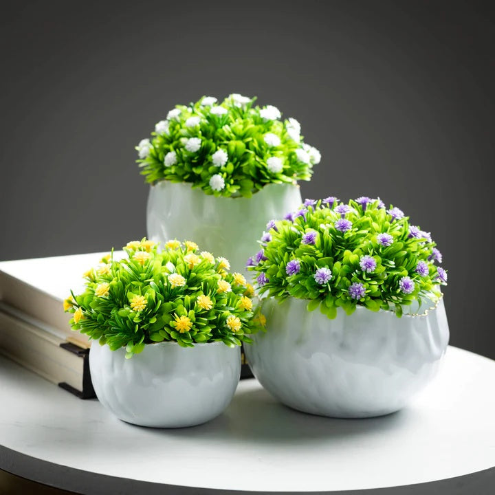 Scalloped Container Set of 3