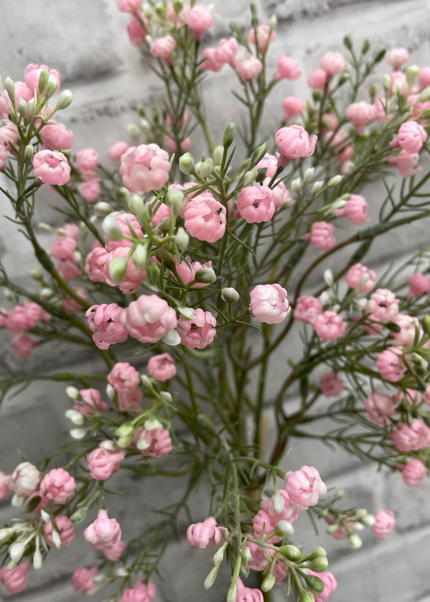 Pink Baby's Breath Bundle