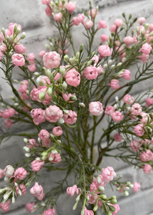Pink Baby's Breath Bundle