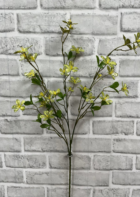Green Plum Flower Stem