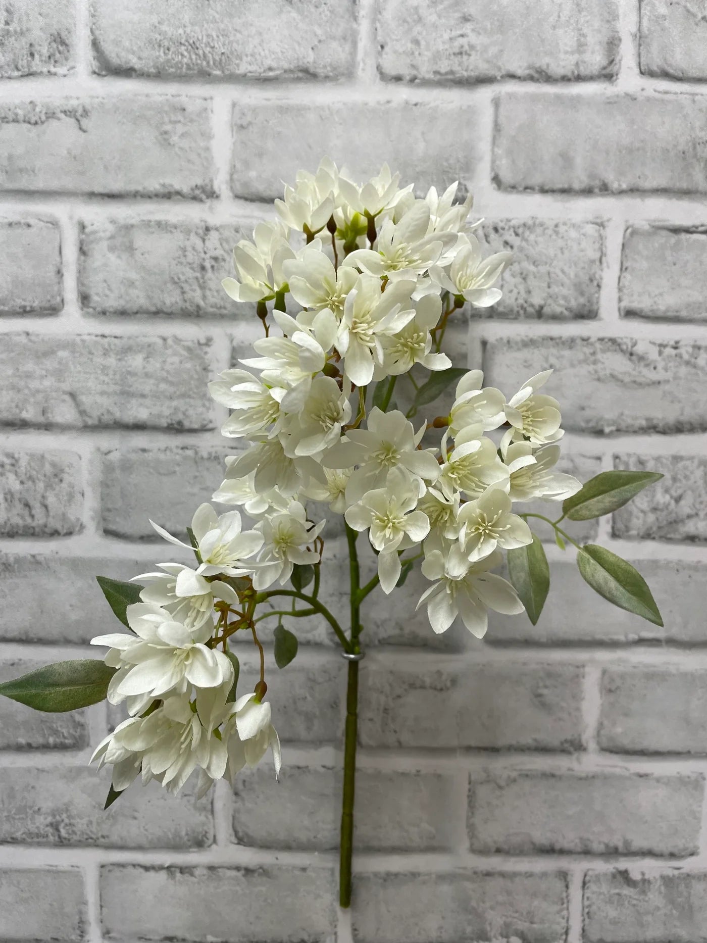 White Weigela