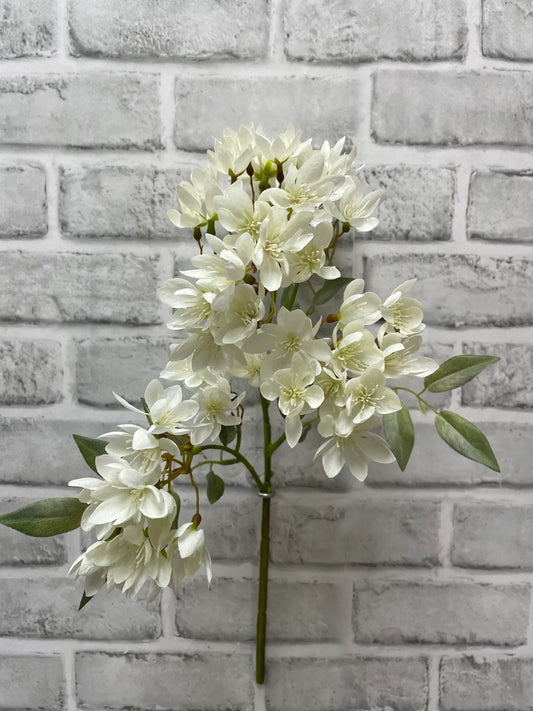 White Weigela