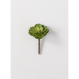 Succulent Pick - Green