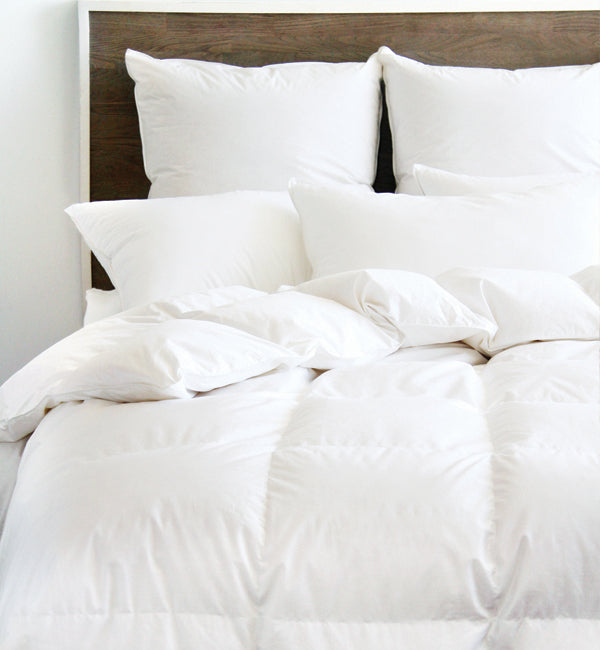 Chinook Duvet - Light Weight