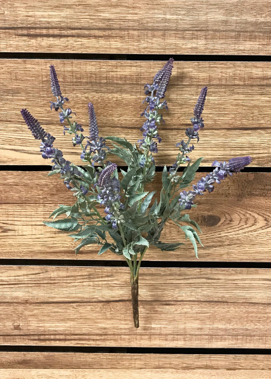 Lavender Bush