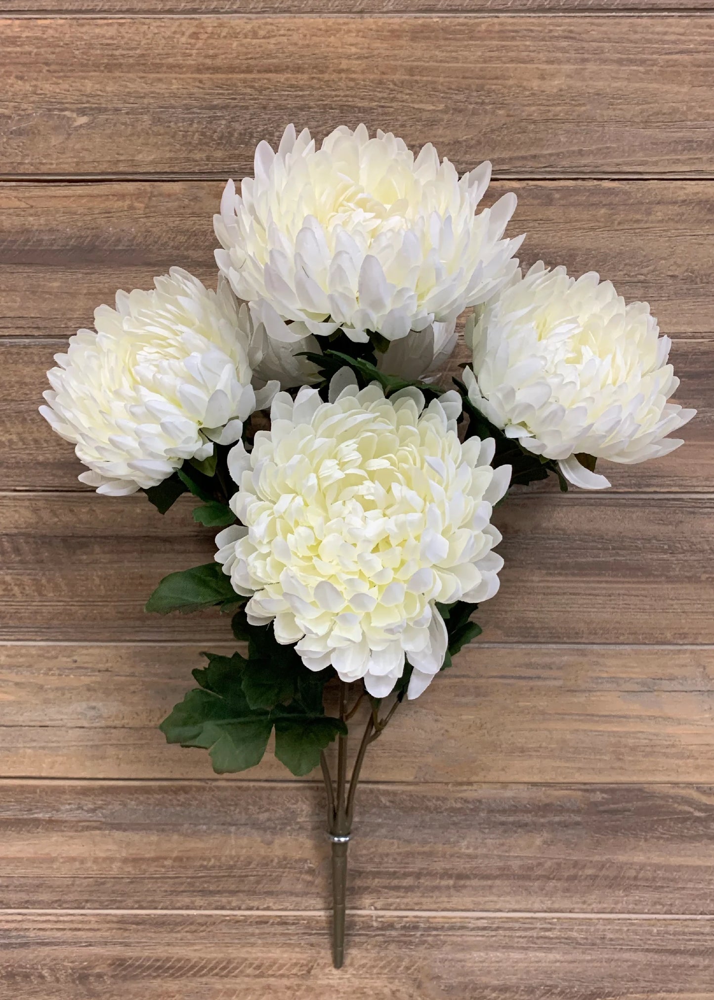 White Football Mum Bush