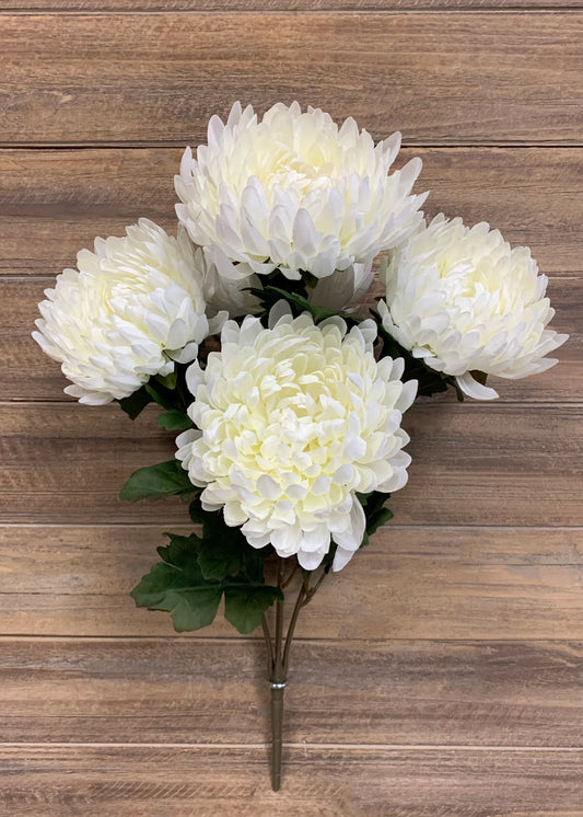 White Football Mum Bush