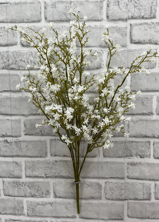 White Sedum Bush