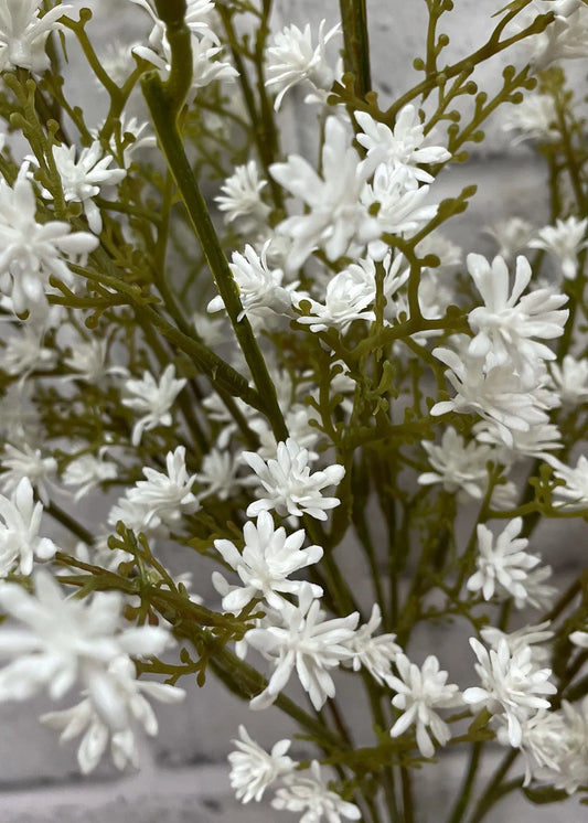 White Sedum Bush