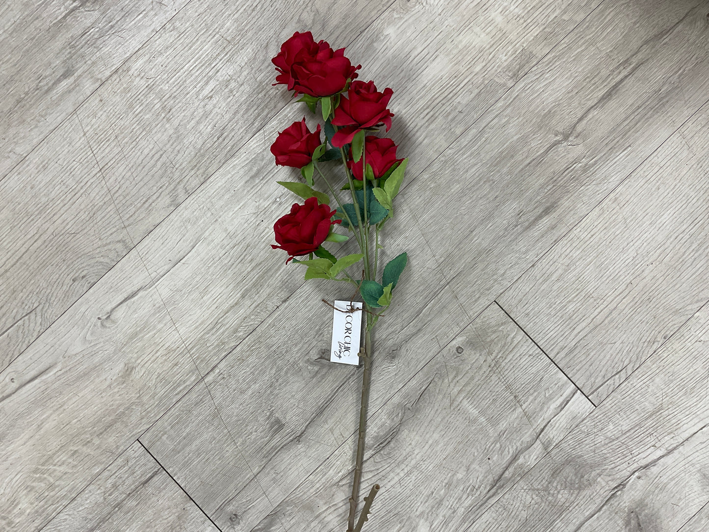 Princess Rose 25'' Spray X 6 Red