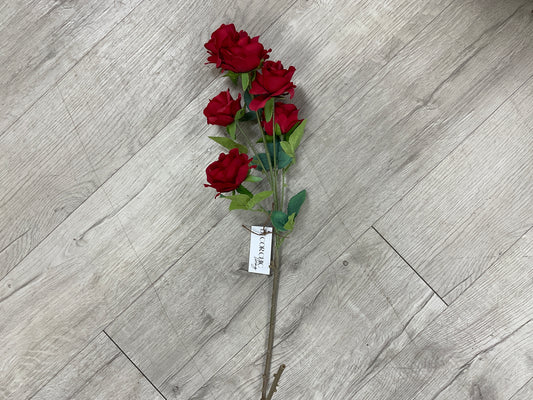 Princess Rose 25'' Spray X 6 Red
