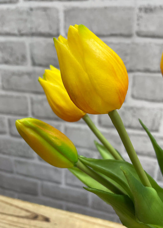 10" Fresh Touch Mini Wild Orange Tulip Bundle