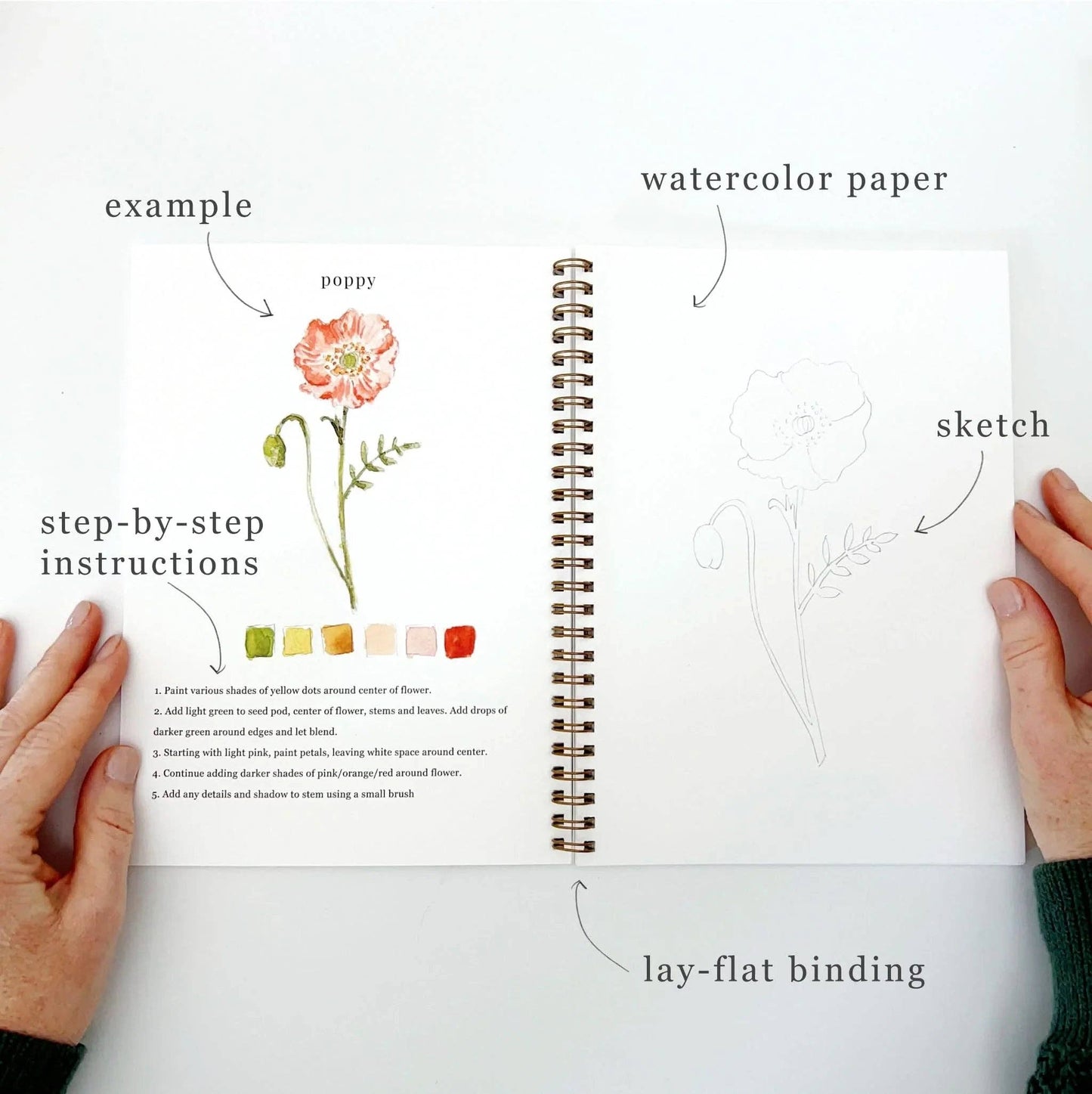 Emily Lex Flowers watercolor workbook