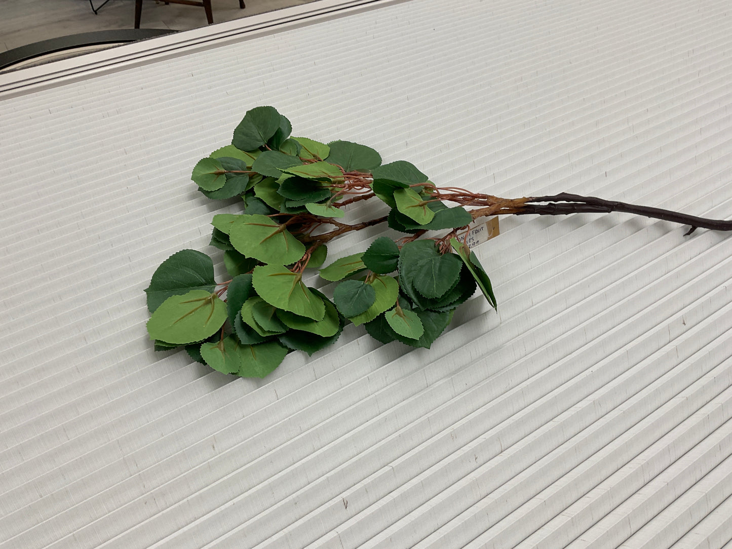 Branch Fruit Leaves