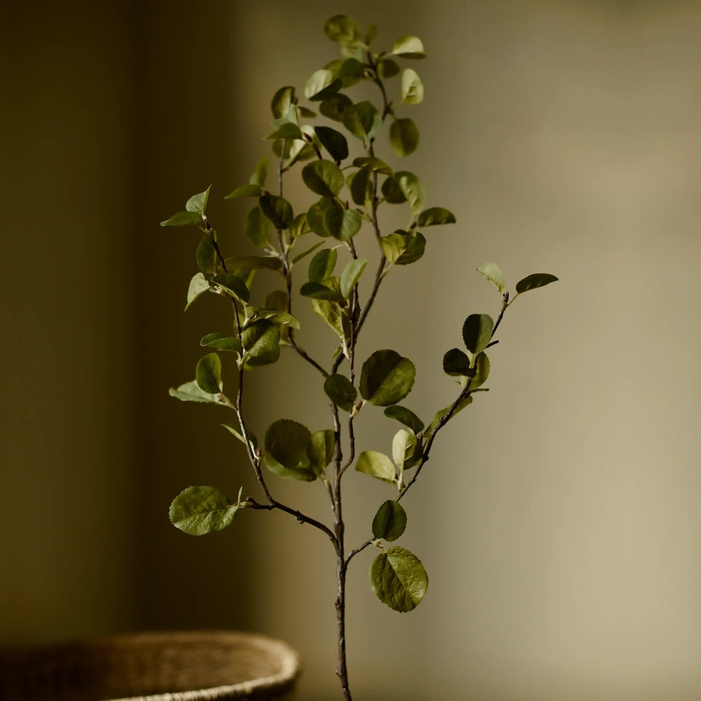 Artificial plant branch with green leaves on a blurred background