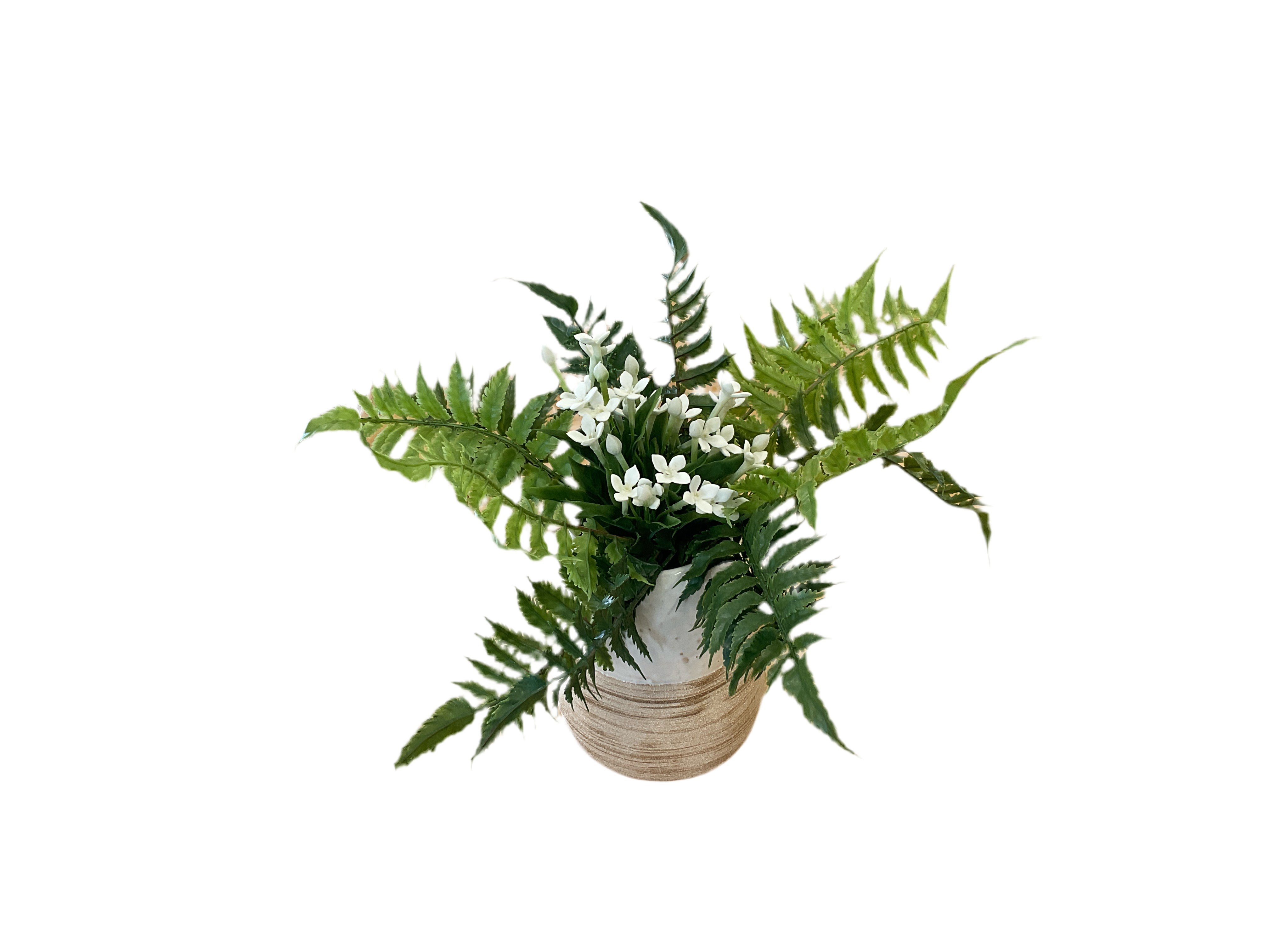 Paralia Vase