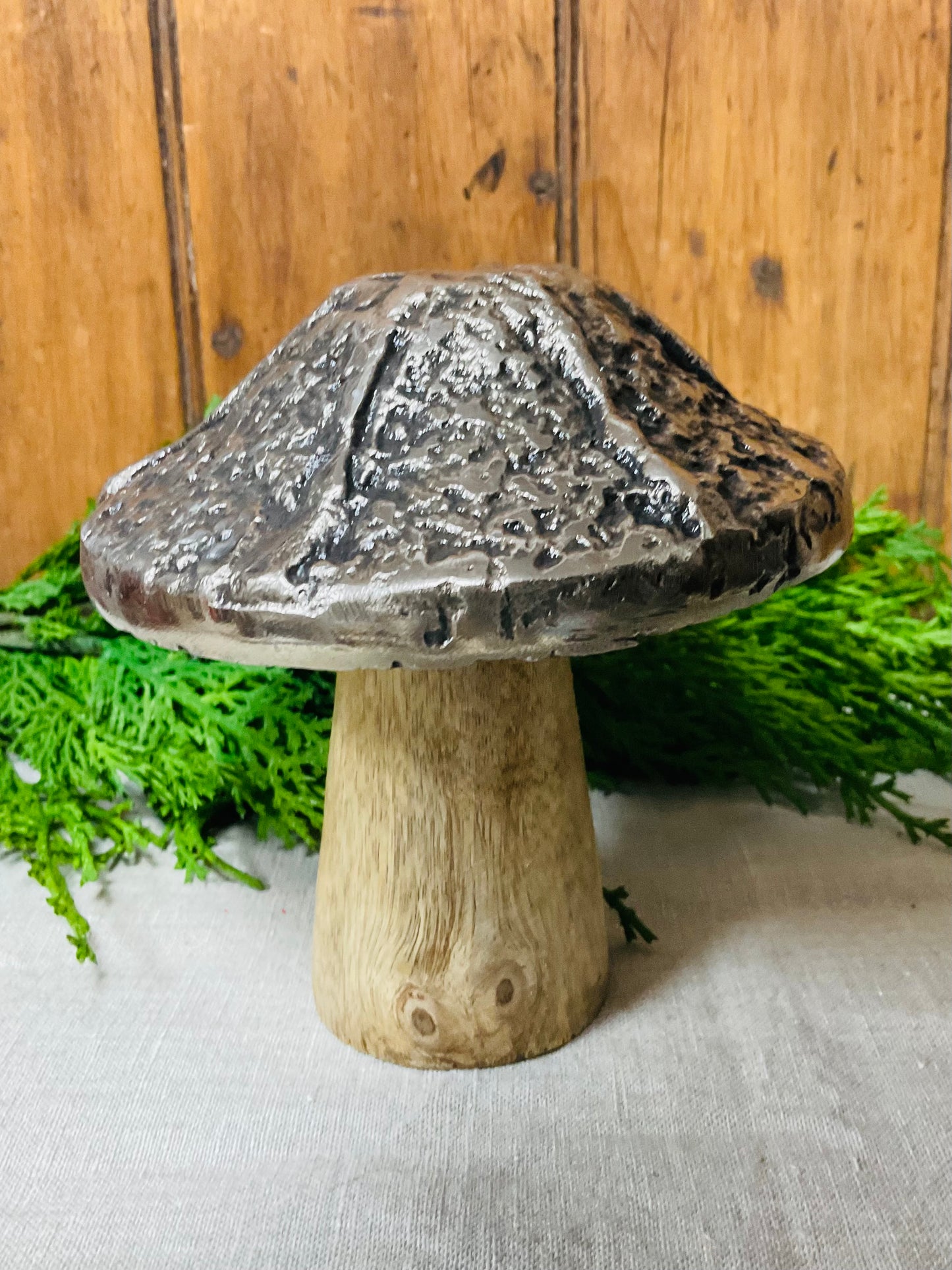 Fairy Tale Mushrooms