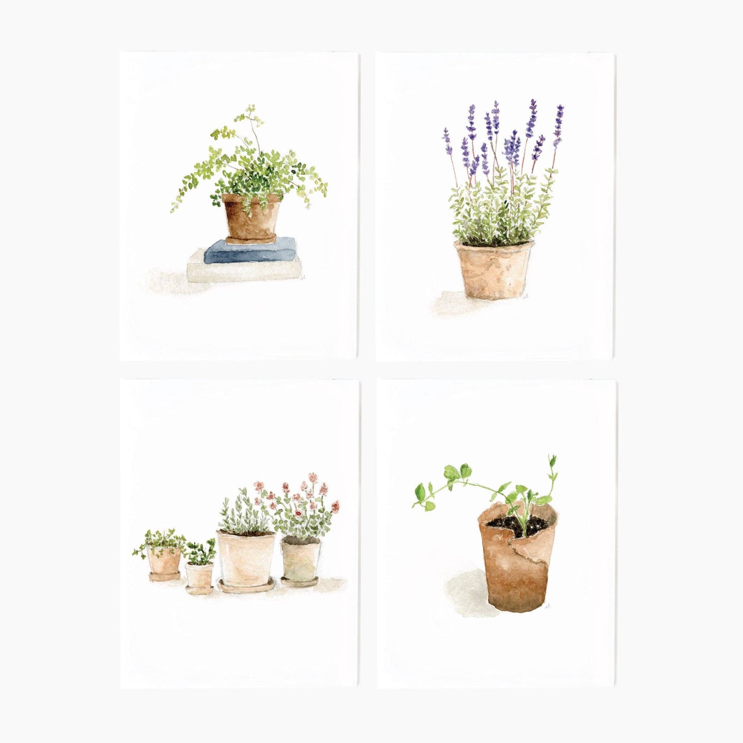 Emily Lex - Potted plants notecard set