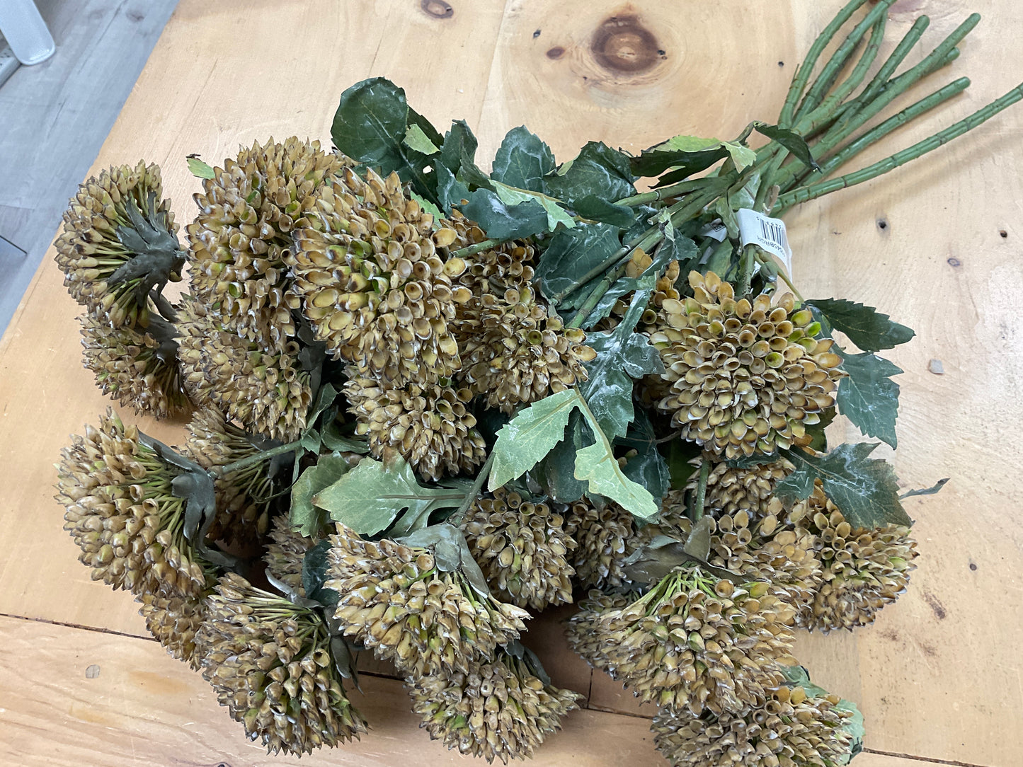 Gorgeous Brown-Green Scabious Spray