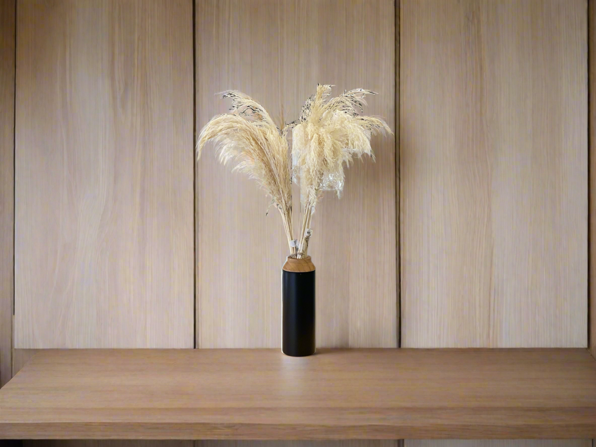 Plume Reeds