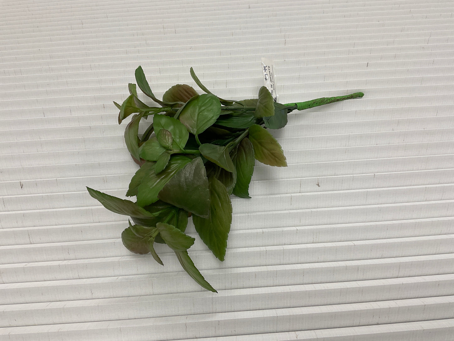 Mint Leaf Bush
