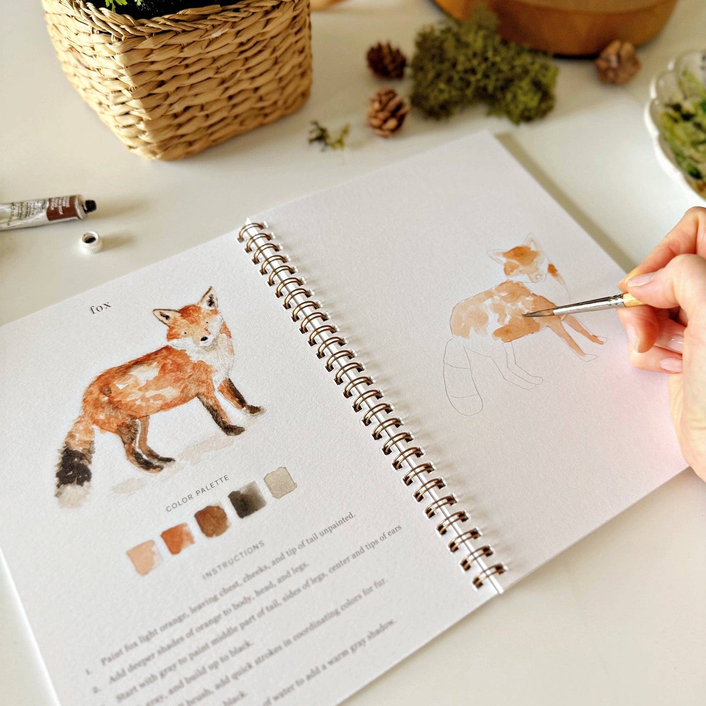Emily Lex Watercolor Woodland Workbook