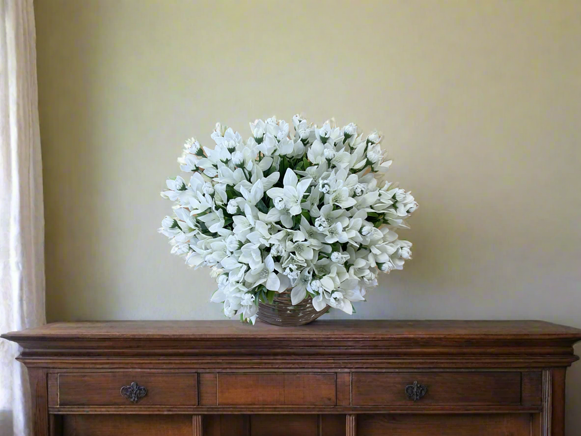 White Balloon Flower