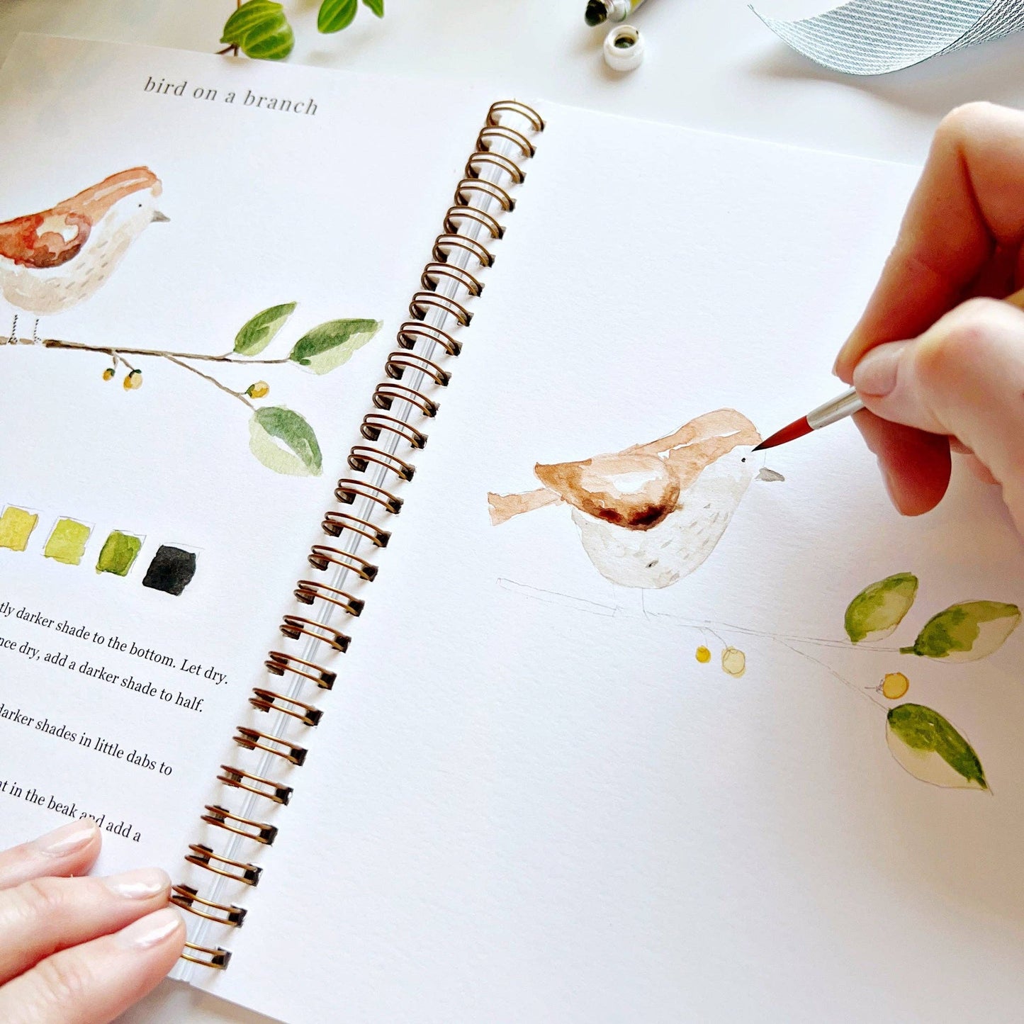 Emily Lex Watercolor Animal Workbook