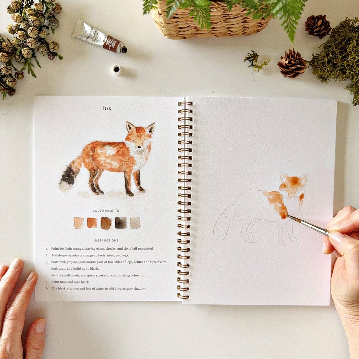 Emily Lex Watercolor Woodland Workbook
