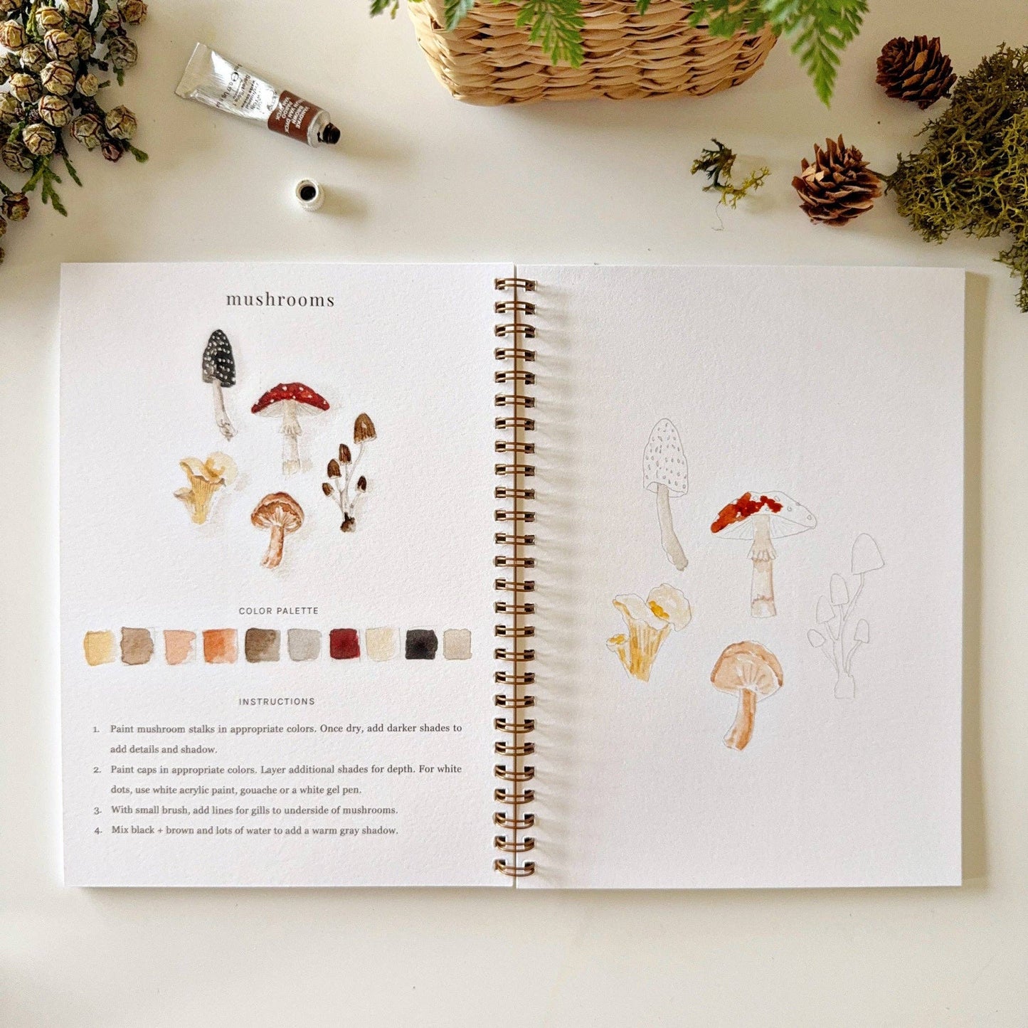 Emily Lex Watercolor Woodland Workbook