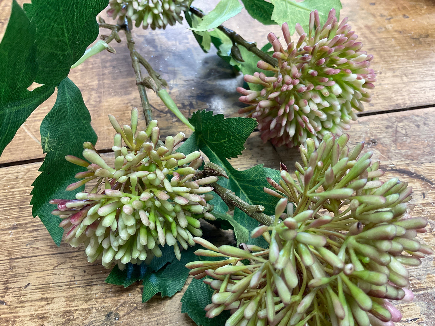 Echinops Spray - Green / Burgundy