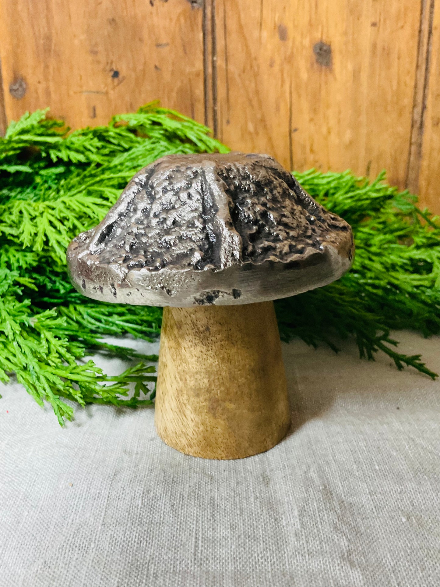 Fairy Tale Mushrooms