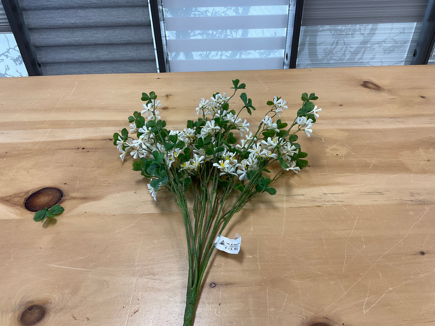 White Olive Blossom - 21”