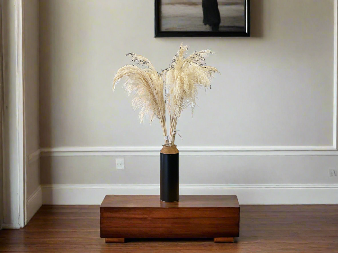 Plume Reeds