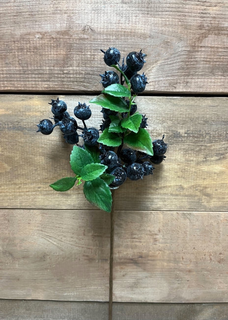 Blueberry Pick