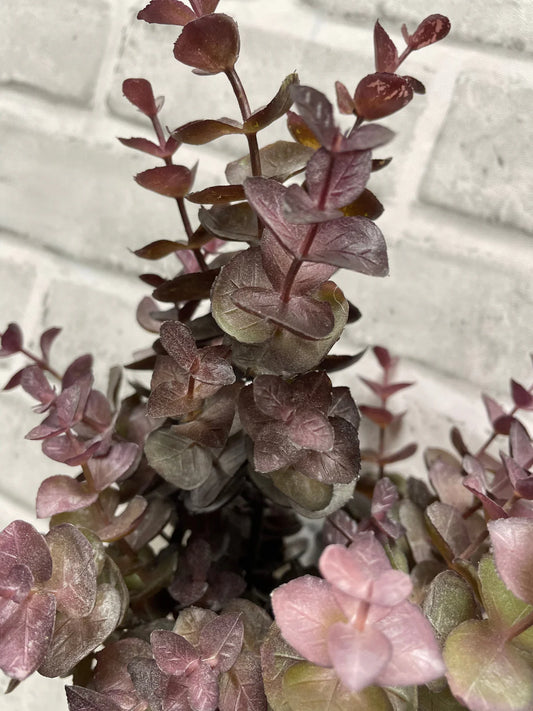 Burgundy Eucalyptus Bundle
