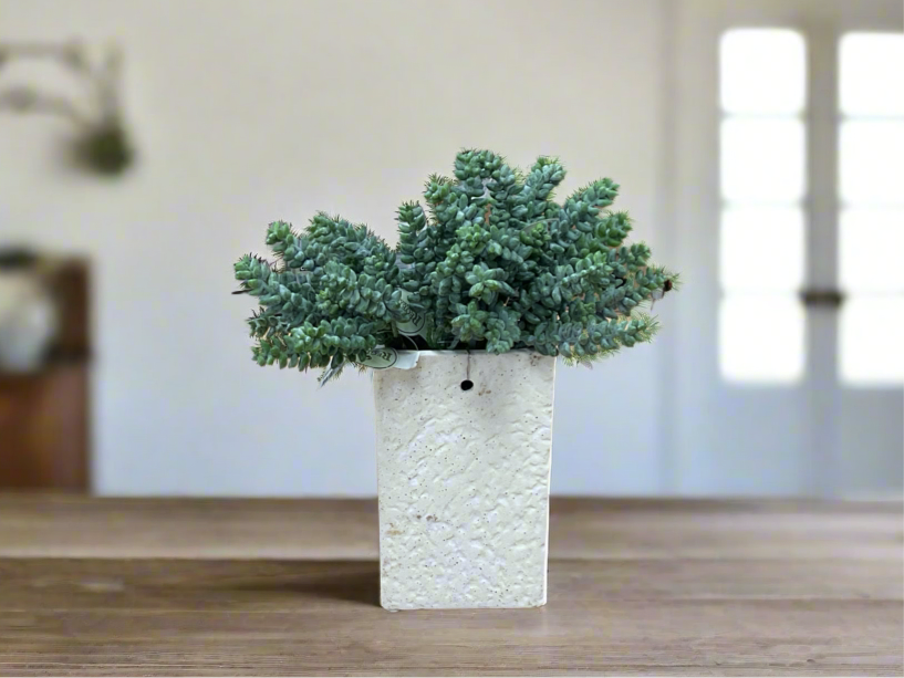 An artificial Burrow Tail Succulent plant in an white textured vase, placed on a wooden surface with a blurred indoor background.