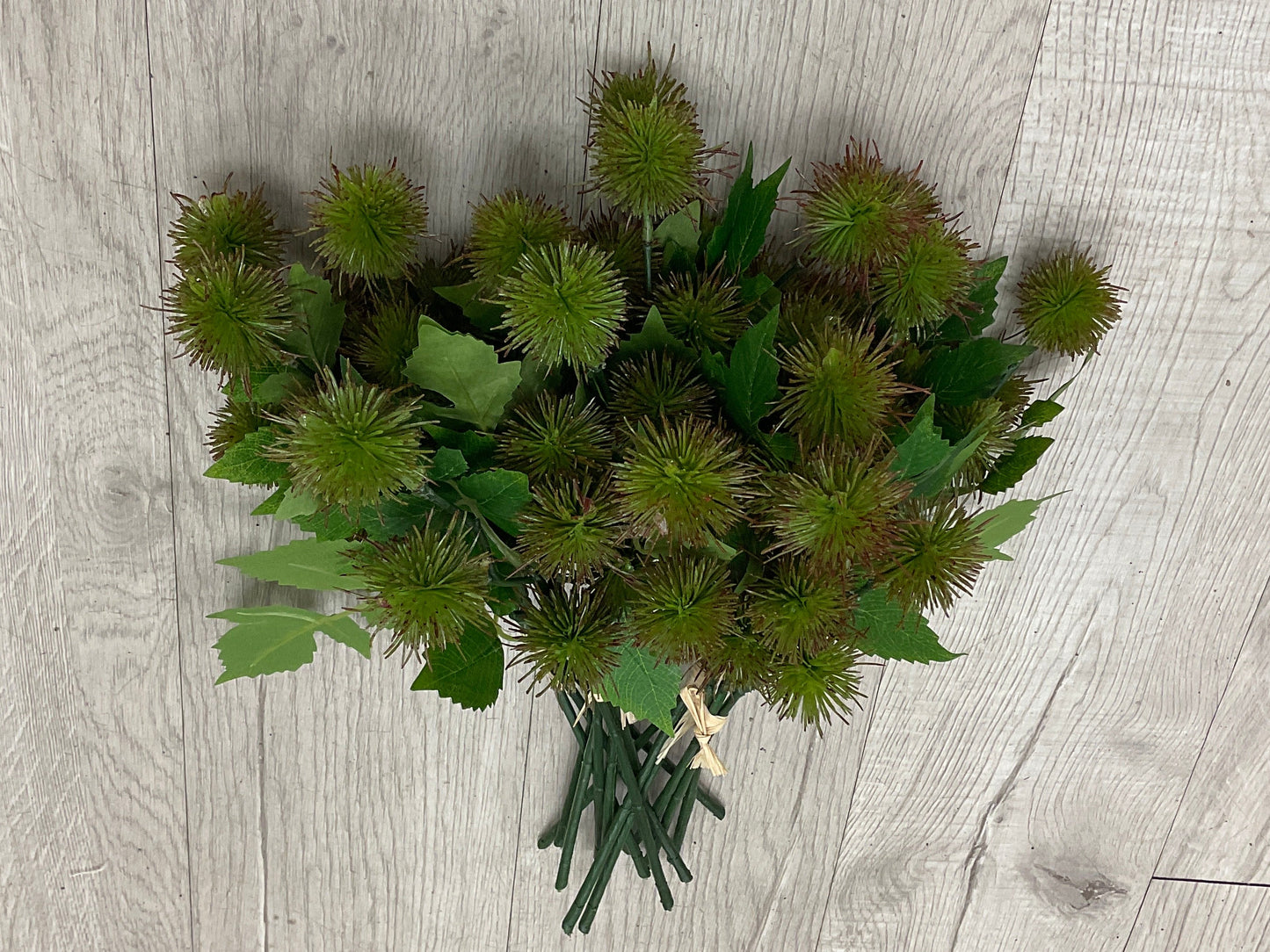 Rambutan Bundle x3 15" - Green/Red