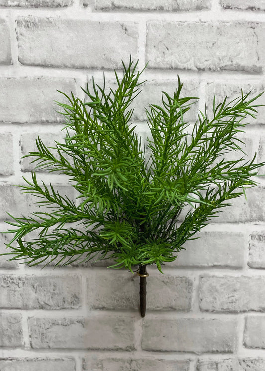 Fresh Touch Asparagus Fern Bush
