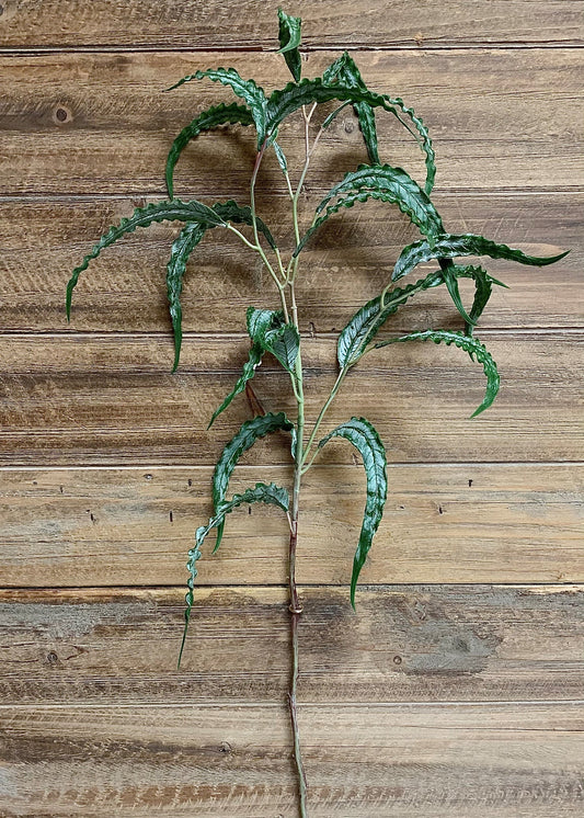 Fresh Touch Curly Eucalyptus Spray