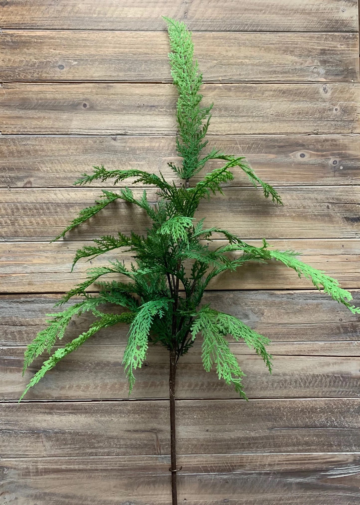 Fresh Touch Sequoia Cypress Spray