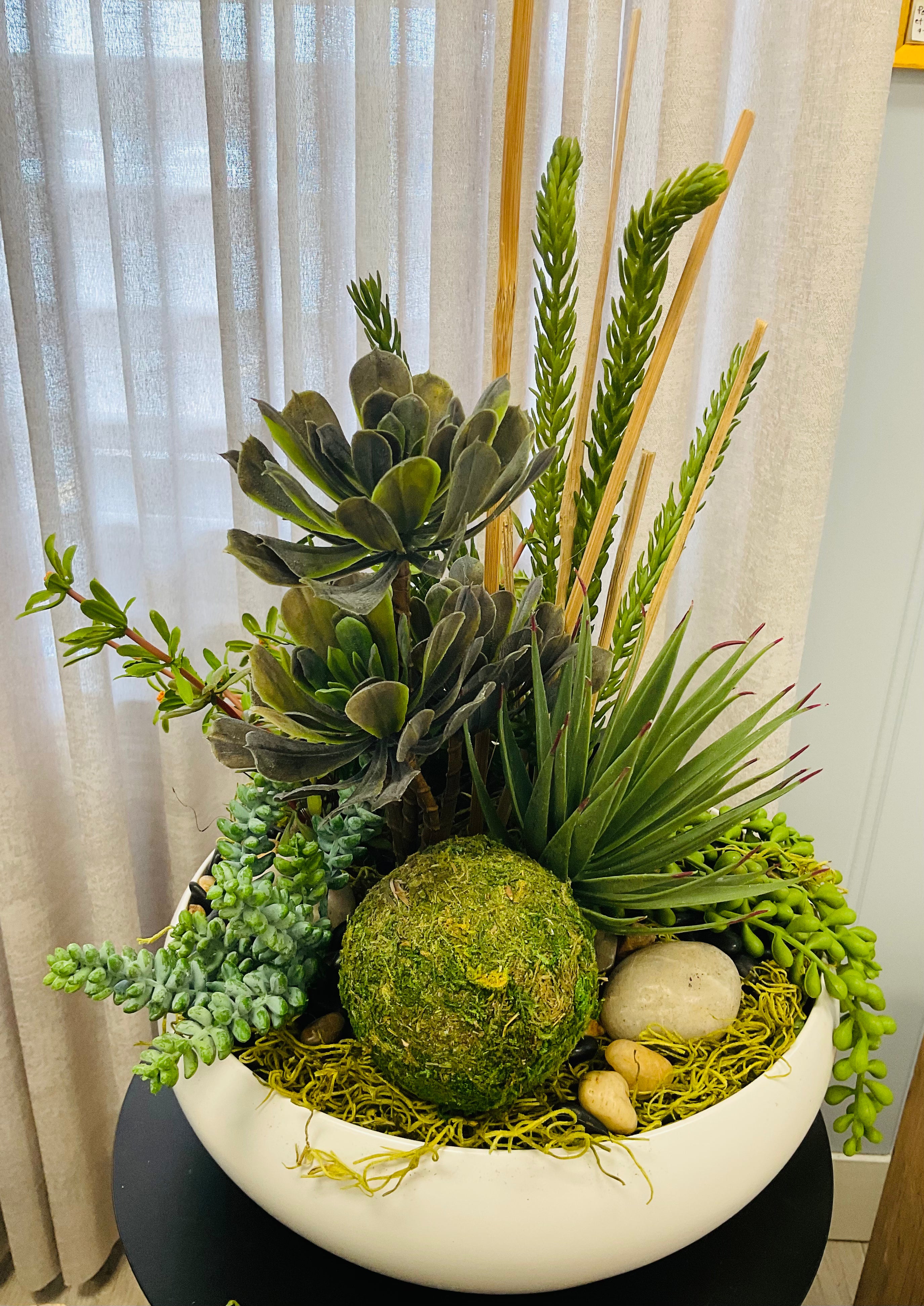 Succulent Garden Bowl