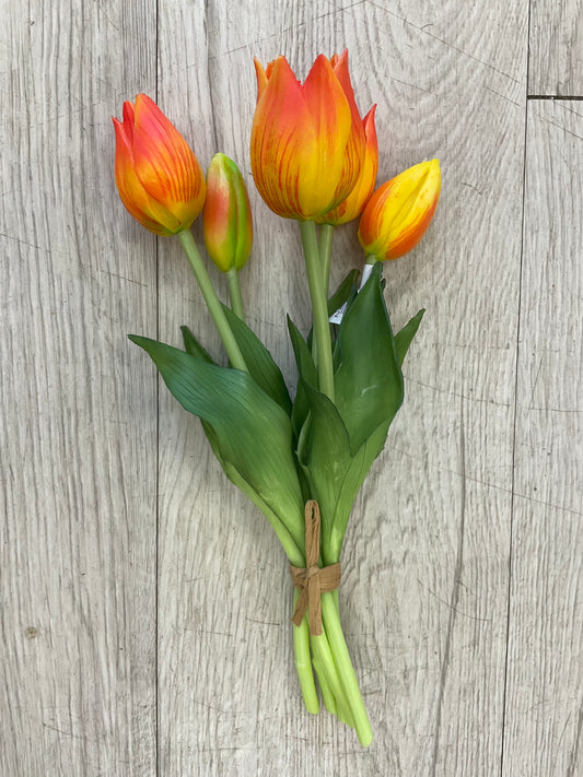 10" Fresh Touch Mini Wild Orange Tulip Bundle